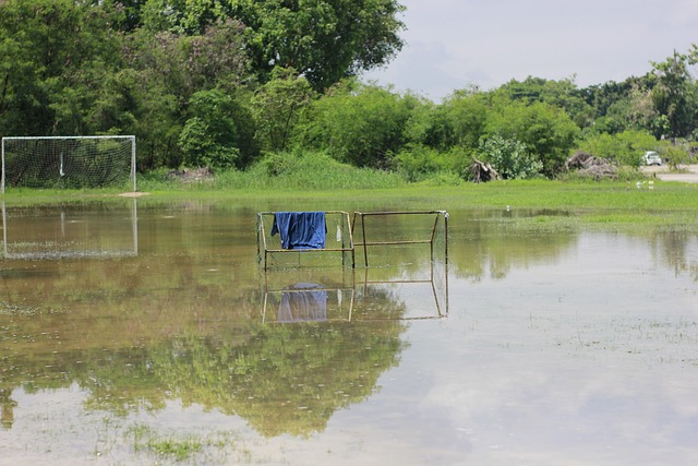 或许正是曼 或许正是曼