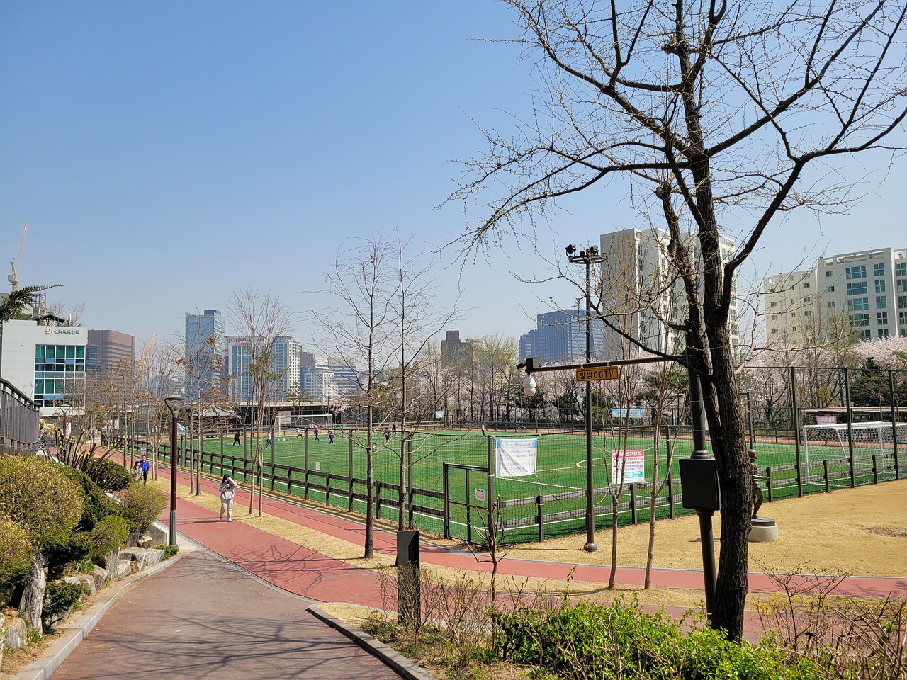 在转会市场 在转会市场