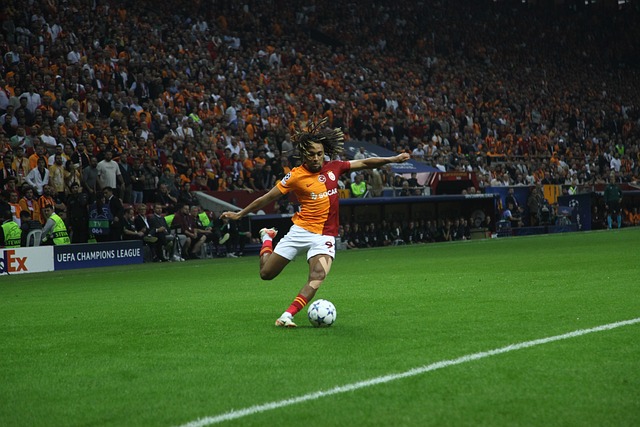 从设计到材 从设计到材