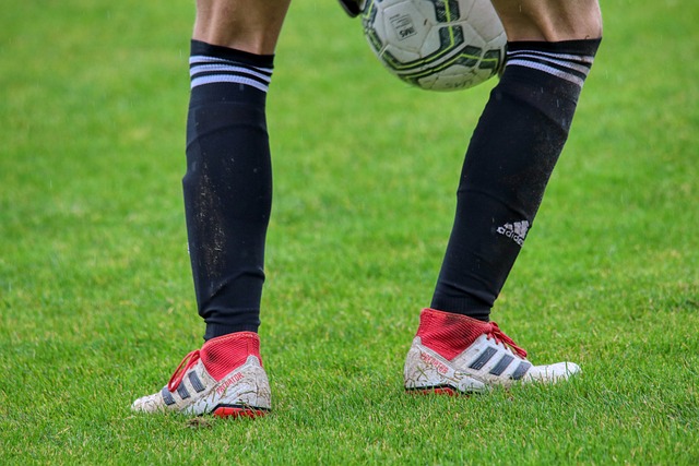 香港队采用 香港队采用