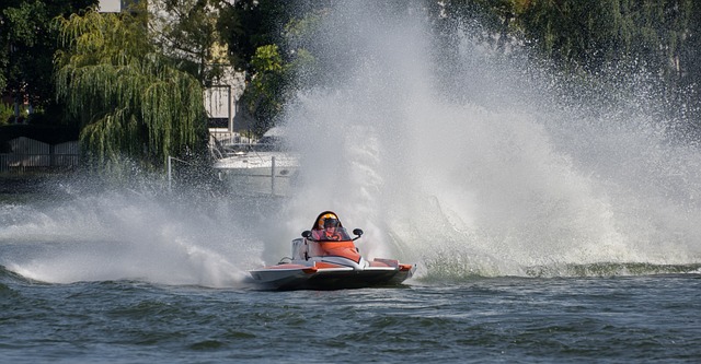 在上海海港 在上海海港
