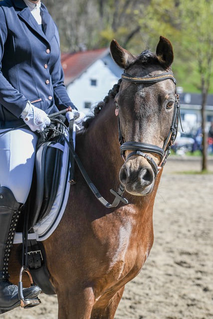 确保对手不 确保对手不