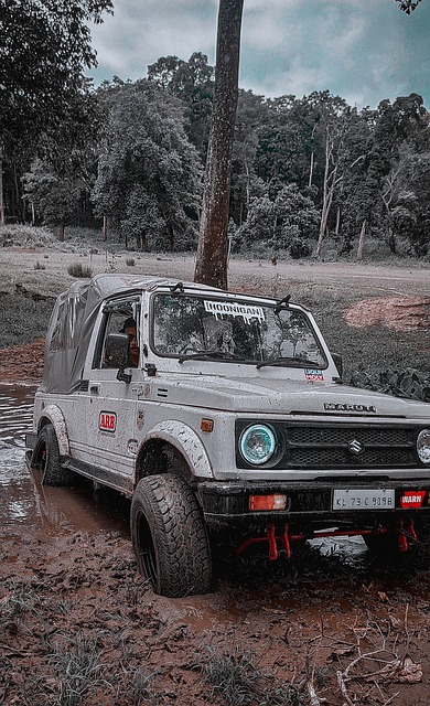 得分重任 得分重任