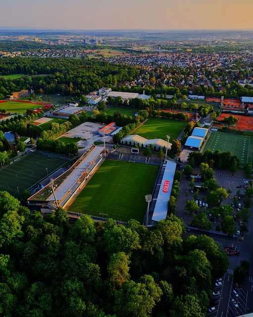 的灵活和冷 的灵活和冷