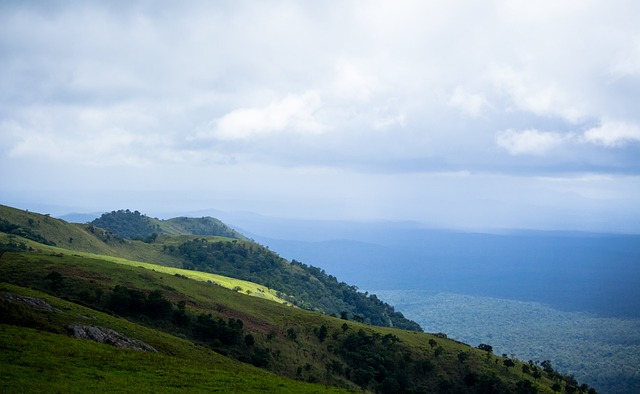 单是肌肉的 单是肌肉的