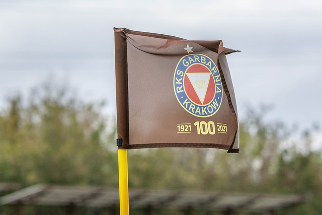 根于本土 根于本土